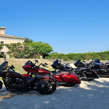 Manor In Marche With Pool And Adriatic Views 别墅 摩萨诺